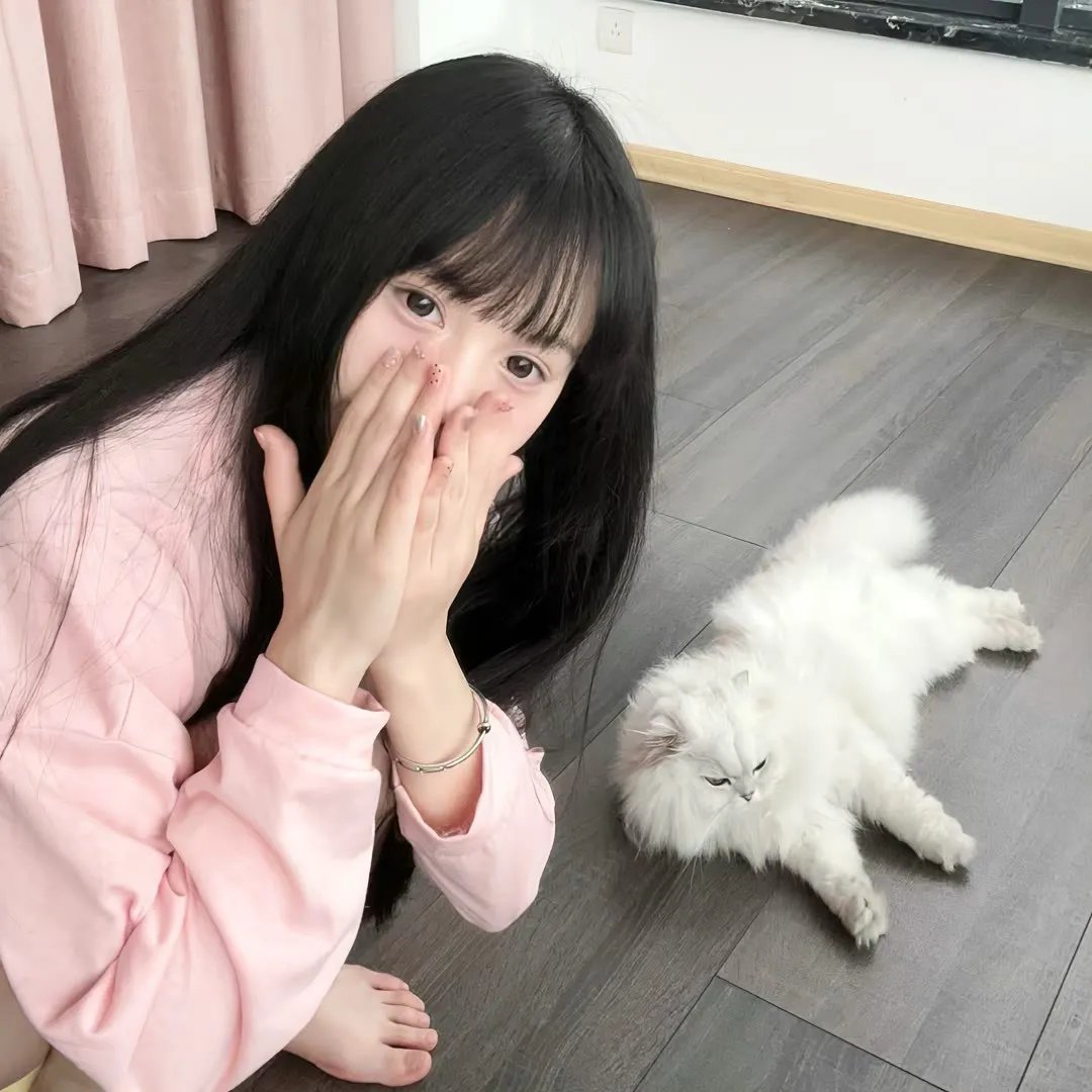 妙贼追凶